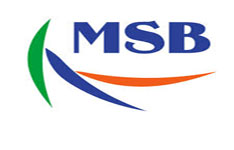 MSB Immigration & Visa Services
